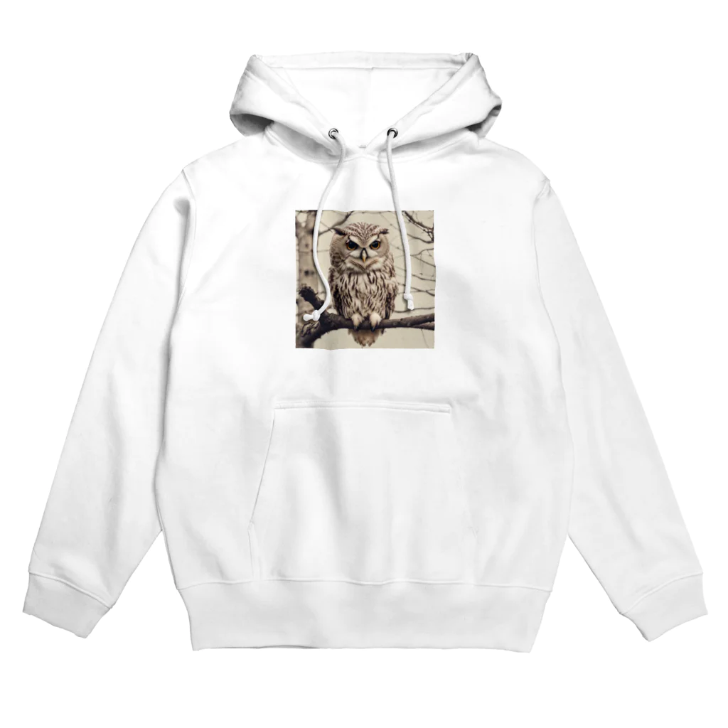 roogerのふくろうくん Hoodie