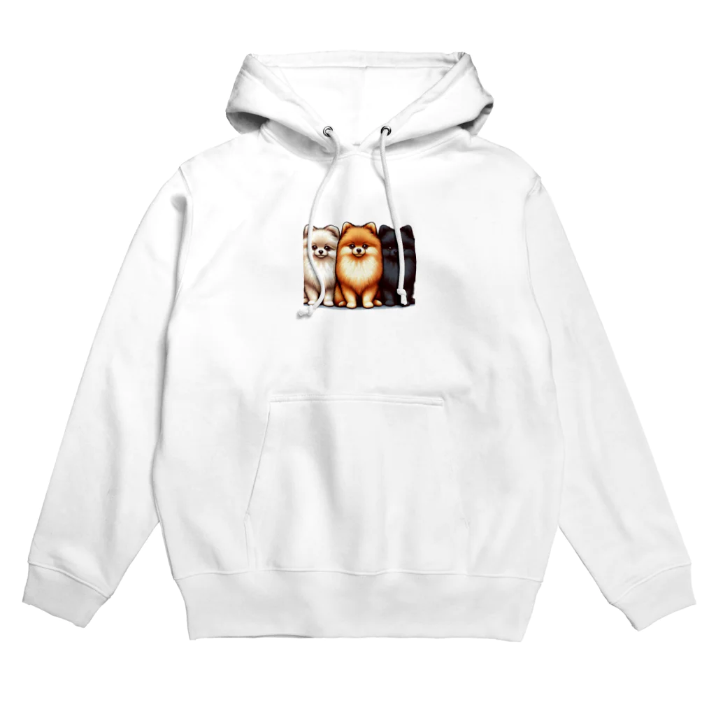 koumeiの3匹のポメラニアン Hoodie