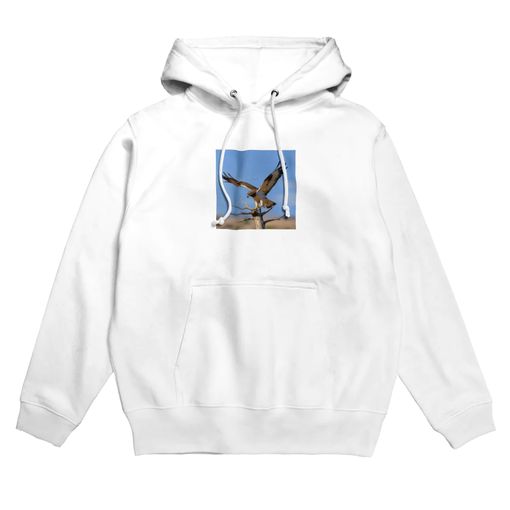 ganeshaの群れの中で他の人と協力しているタカ Hoodie