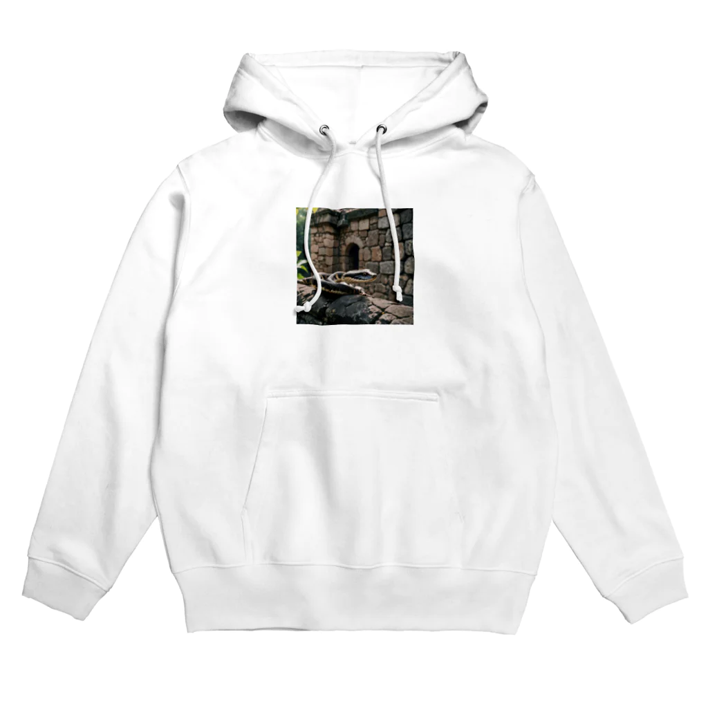 TakeKAKEの国外逃亡をはかる蛇 Hoodie