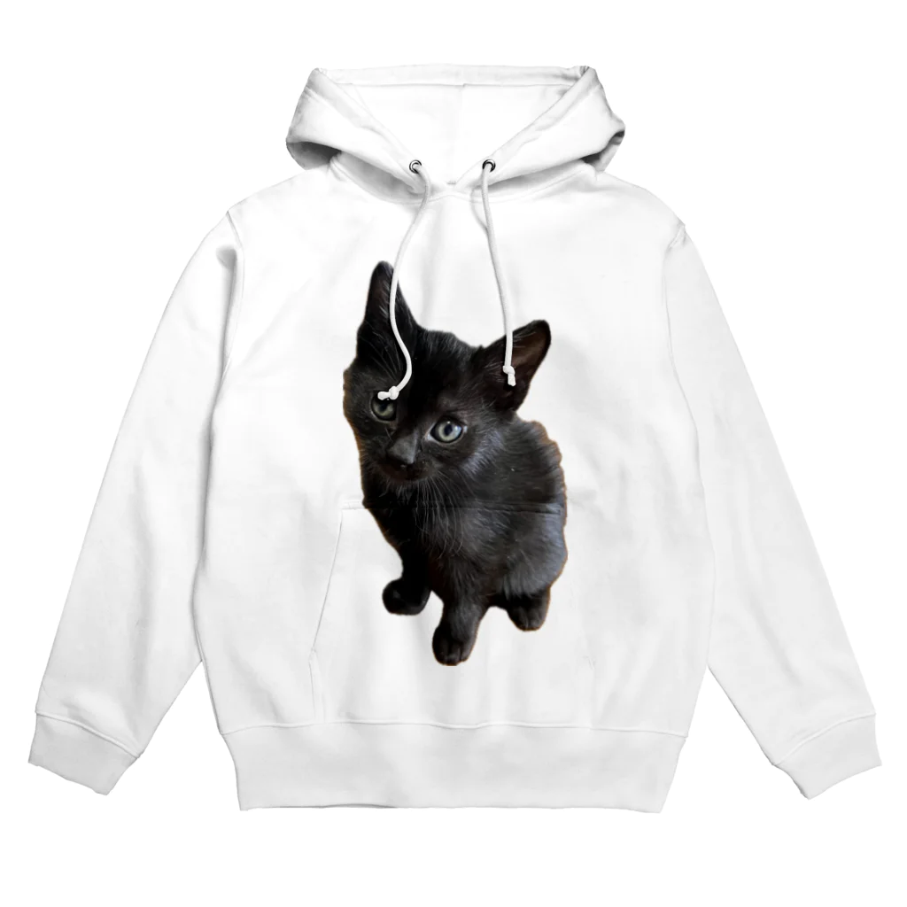 ねこねこねこねこのくーちゃん Hoodie