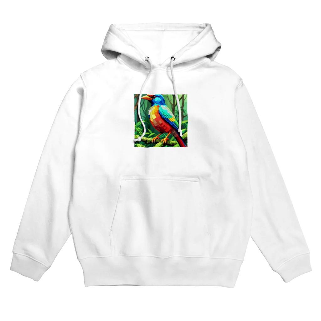 かたまりのドットインコ Hoodie