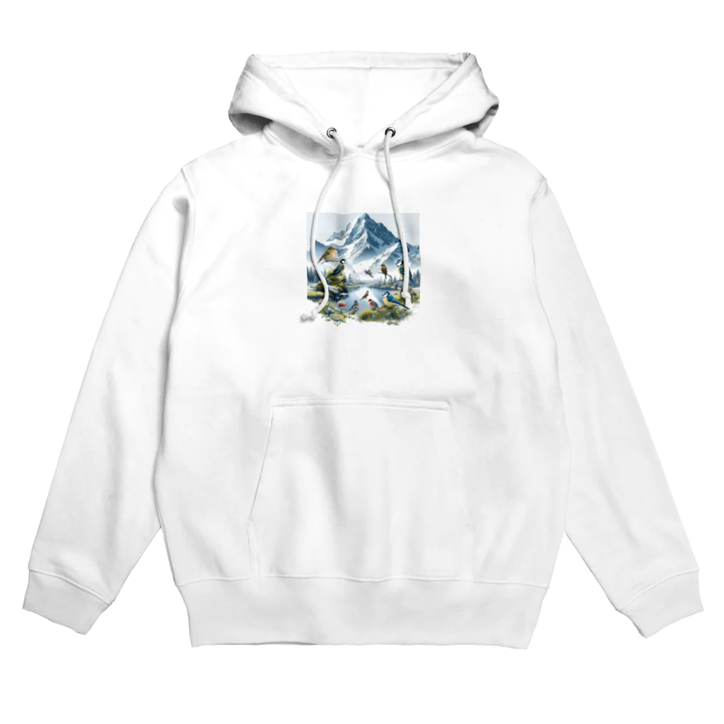 アミュペンのたくさんの美しい鳥たち Hoodie