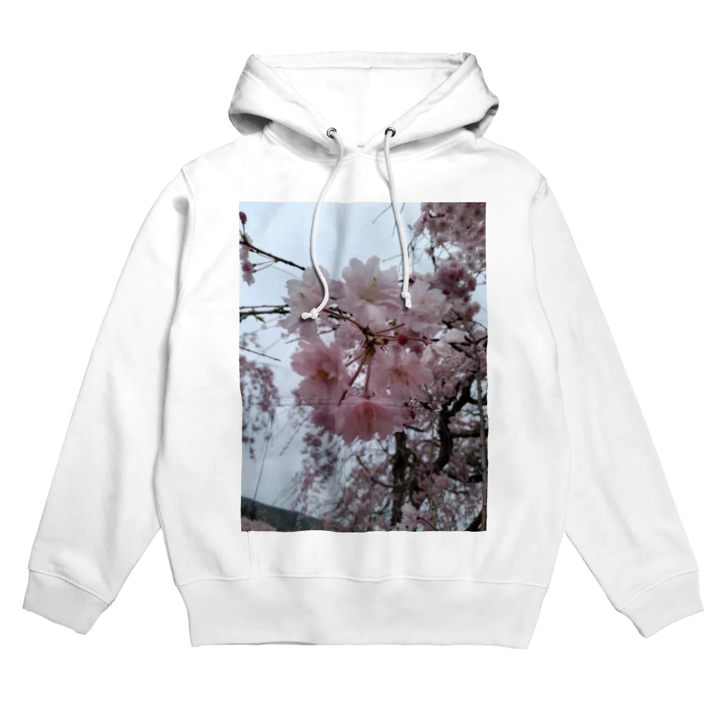 umejirouのさくら満開 Hoodie