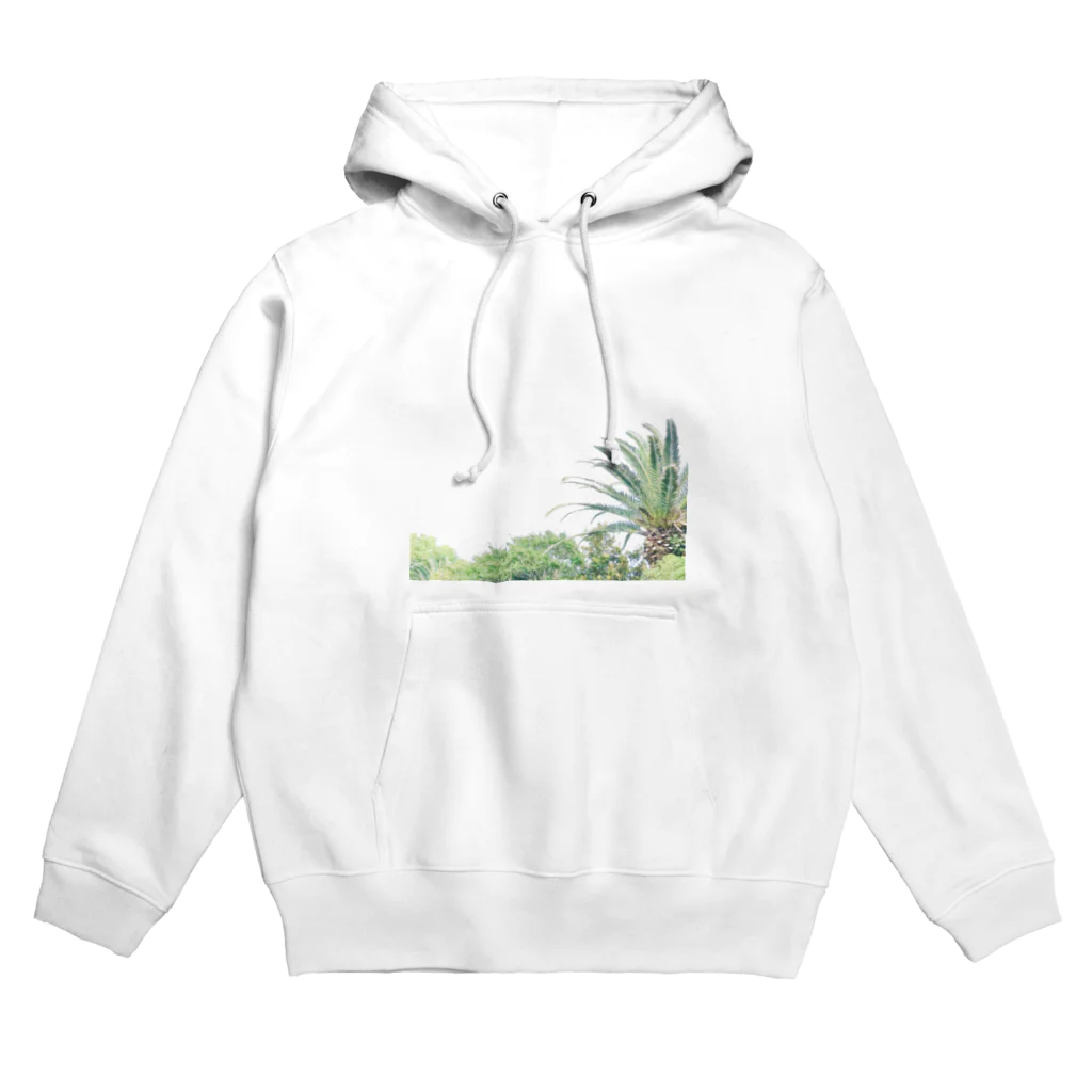 Dinosaur Pool のソラトヤシ Hoodie