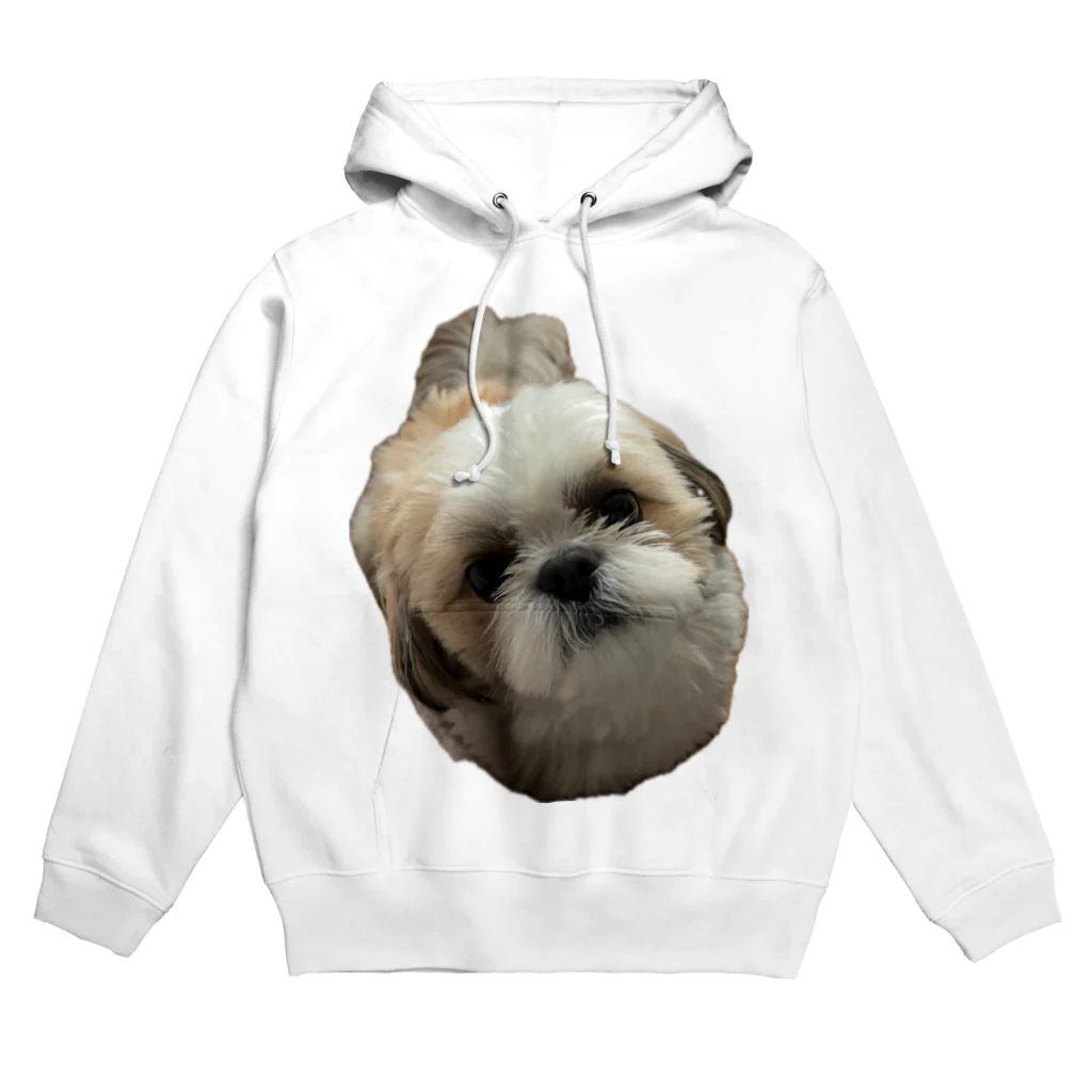 こつきと愛犬の茶々丸の茶々丸グッズ Hoodie