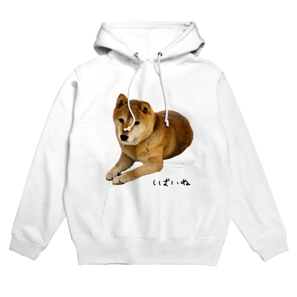 柴犬しばわんこhana873の伏せ？してる柴犬さん Hoodie