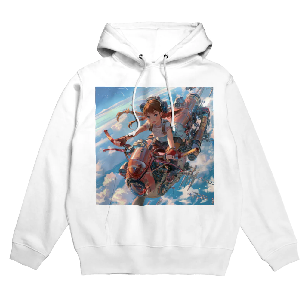 AQUAMETAVERSEのフライングバイク　Tomoe bb 2712 Hoodie