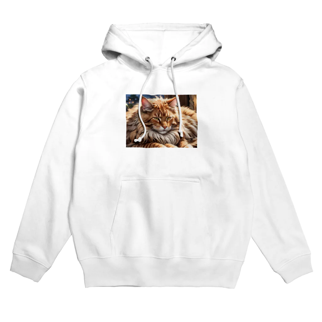 ねむねこのお店のふさふさねこ Hoodie