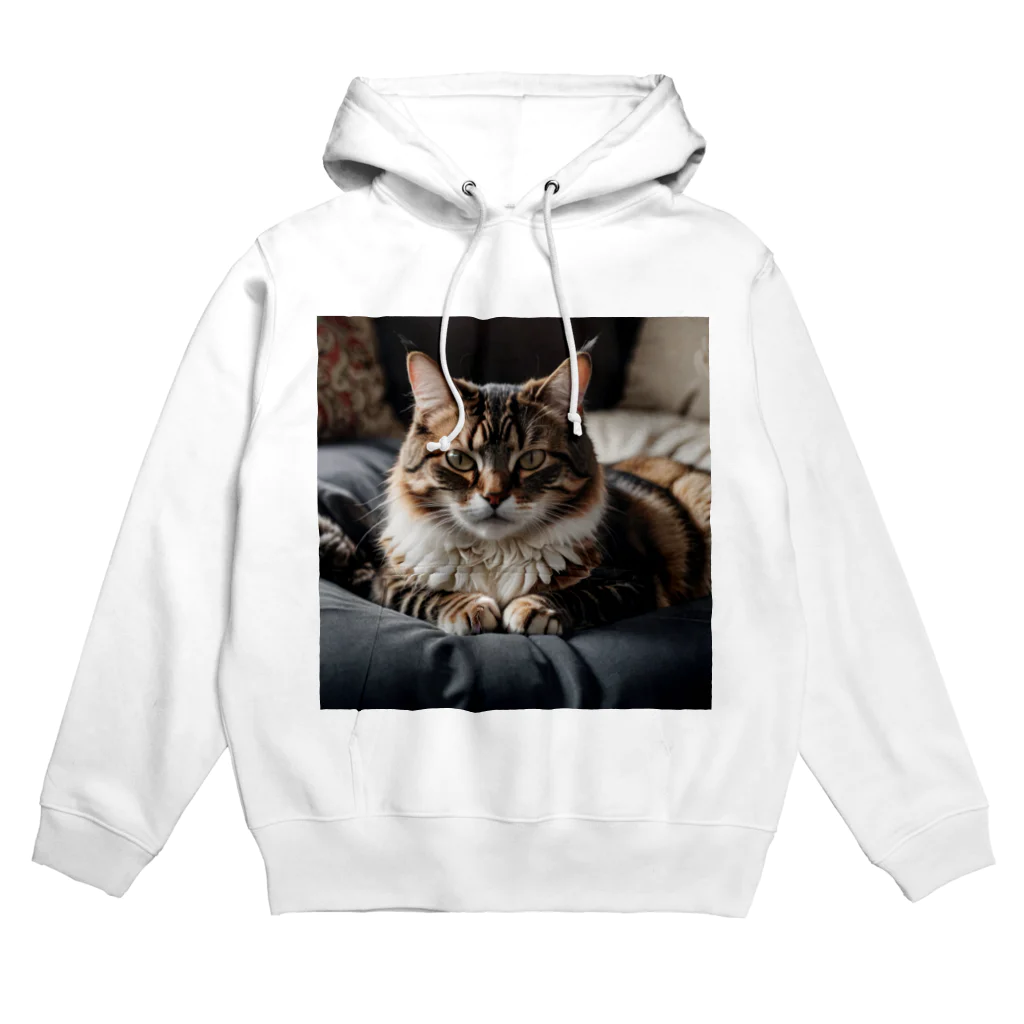 zigerparkのクッションと猫 Hoodie