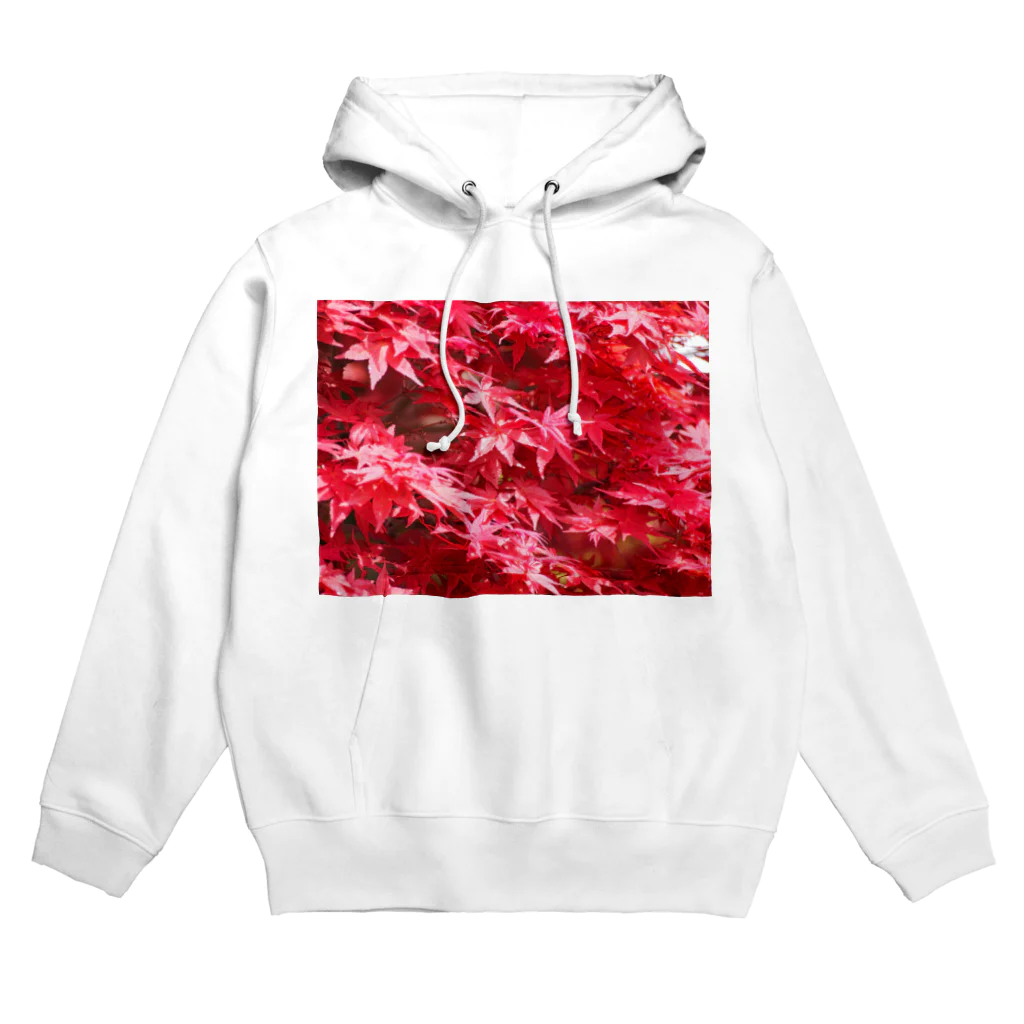 morinoyouseiの鮮やかなもみじ Hoodie