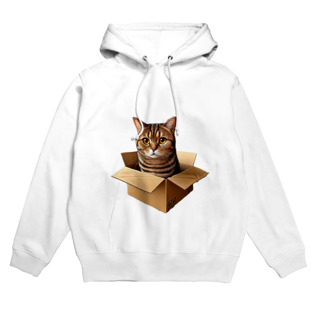 猫の小梅お嬢さんの小梅ちゃん　箱猫 Hoodie