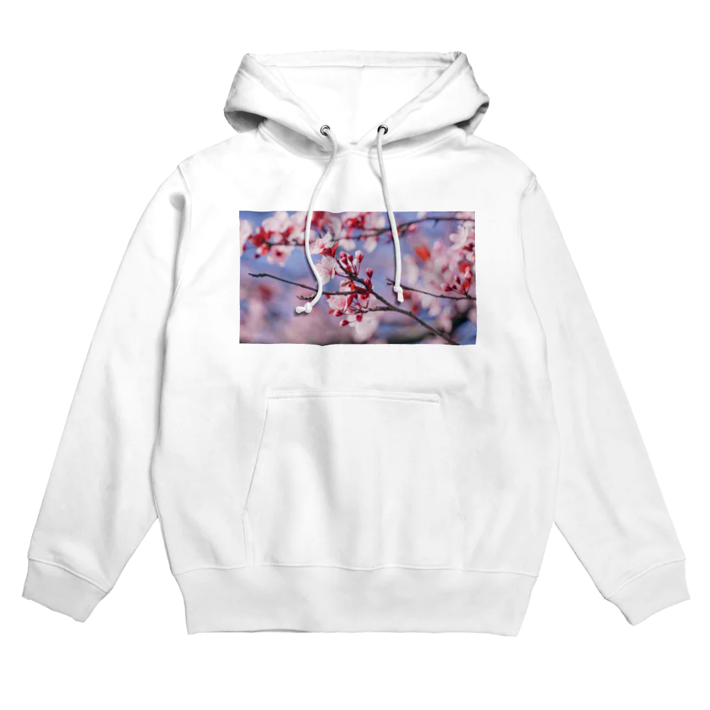 𝔗𝔞𝔦𝔰𝔢𝔦 𝔜𝔞𝔪𝔞𝔡𝔞のSakura en France. Hoodie