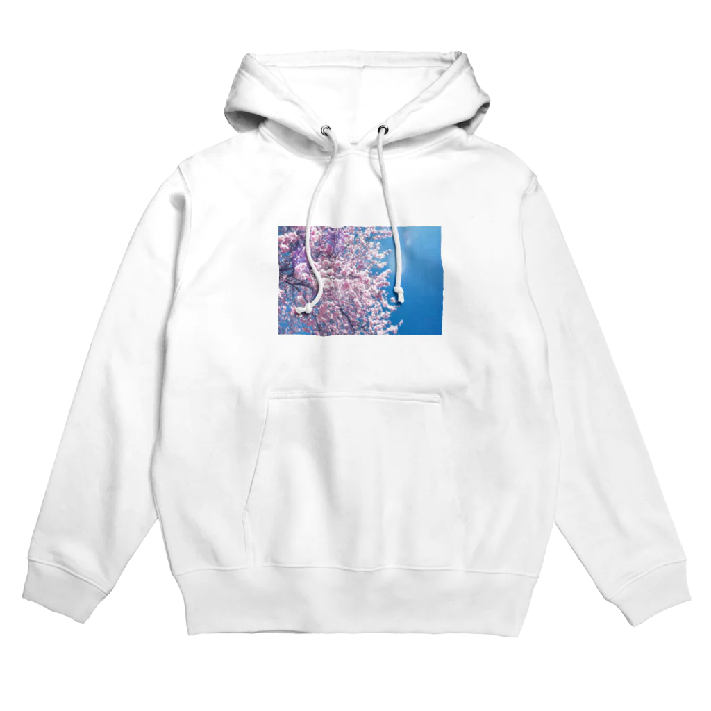 あかりの灯るお店やさんの桜桜桜咲 Hoodie