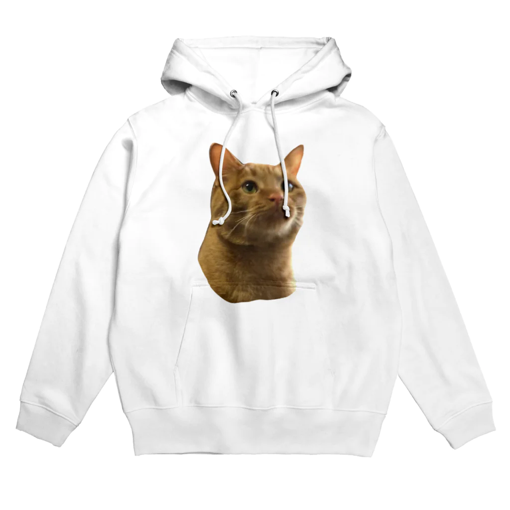 nekotayaの茶トラにゃん Hoodie