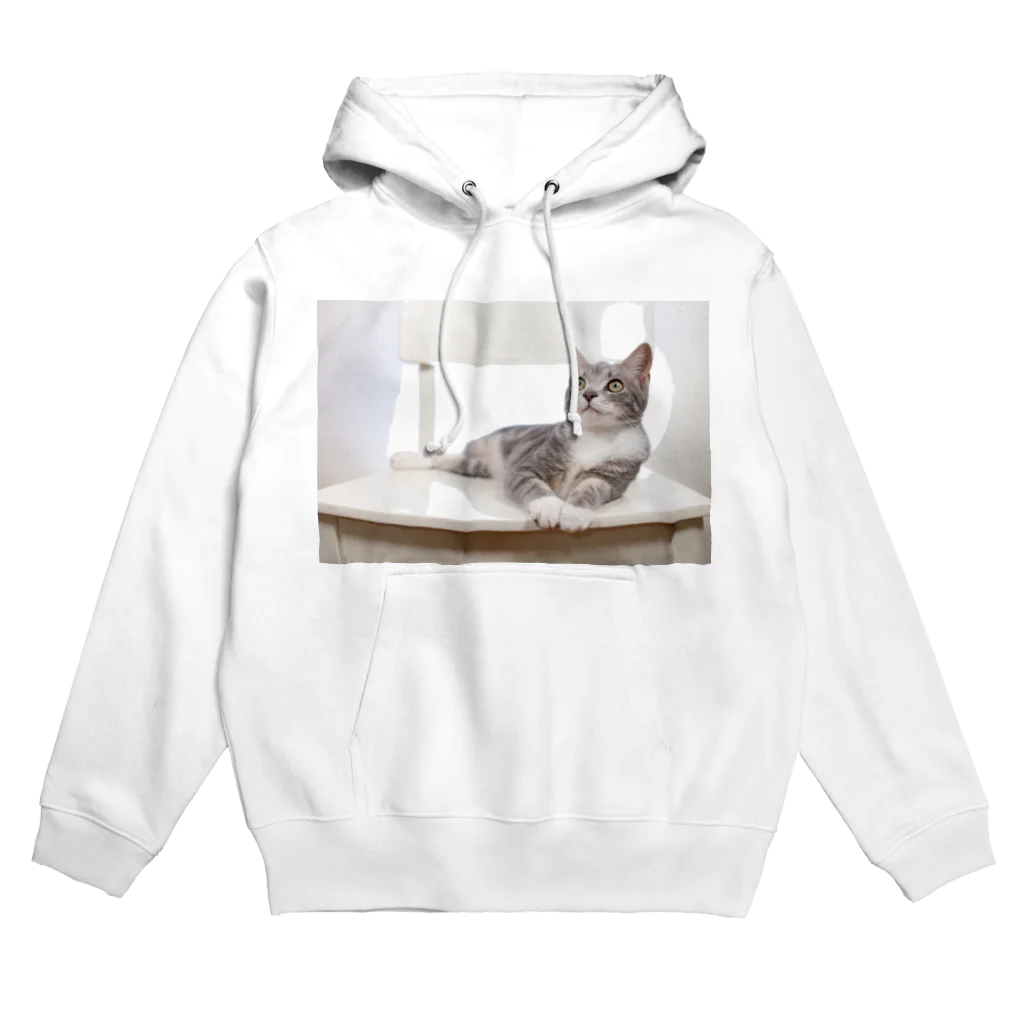 Aiko Nakanoのcat_20190506_8165 Hoodie