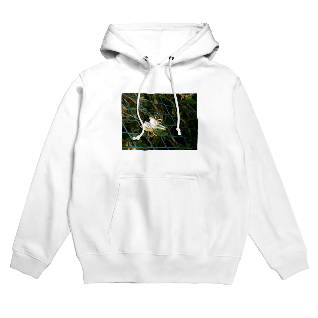 kyokamoaの終わりと始まり Hoodie