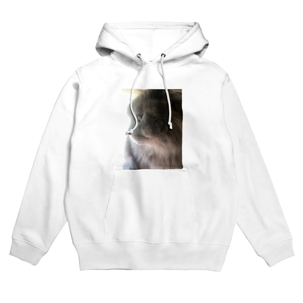 komatsukeの木洩れ陽のししまる(横顔ver) Hoodie