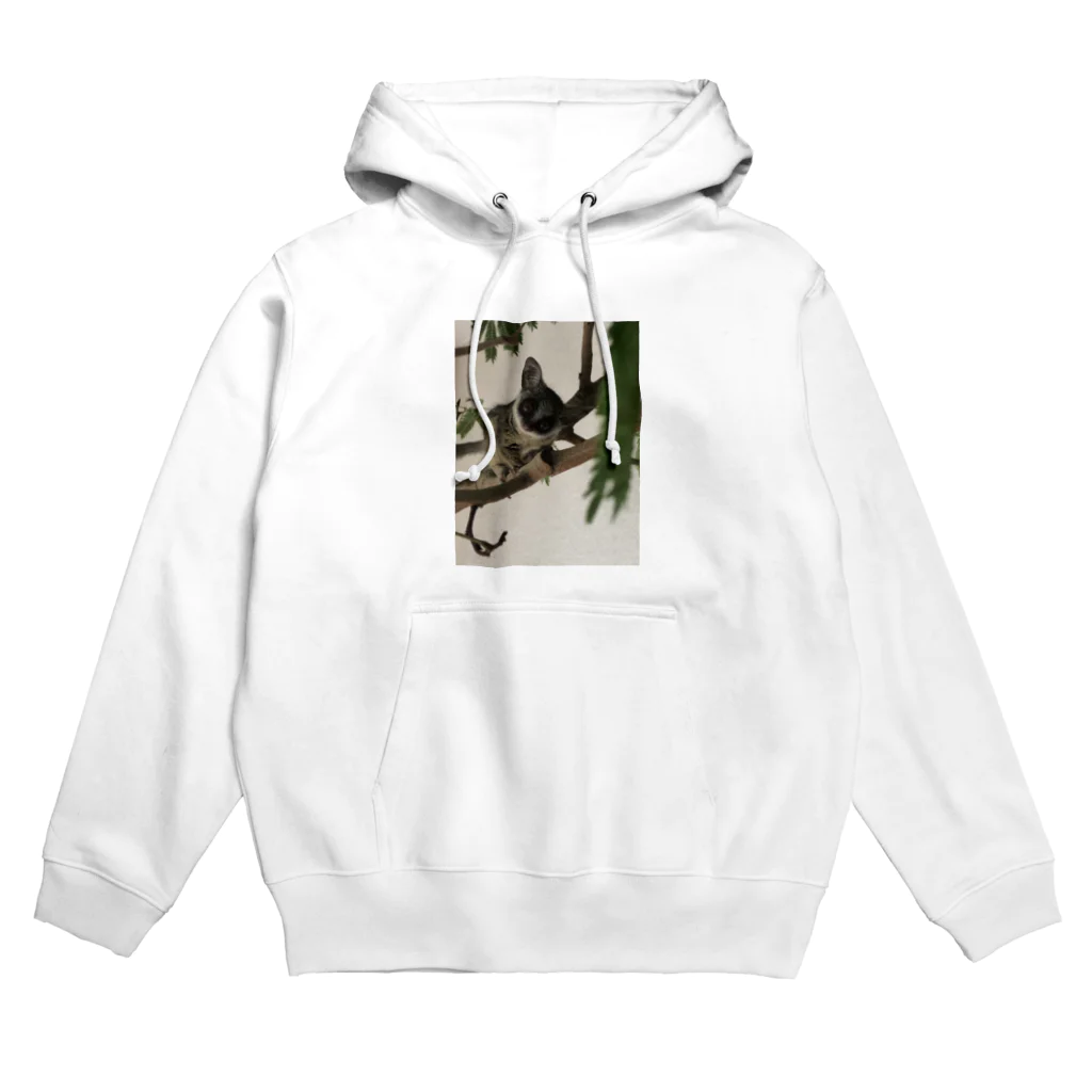 Avril_BushbabyのAvril 携帯ケース Hoodie