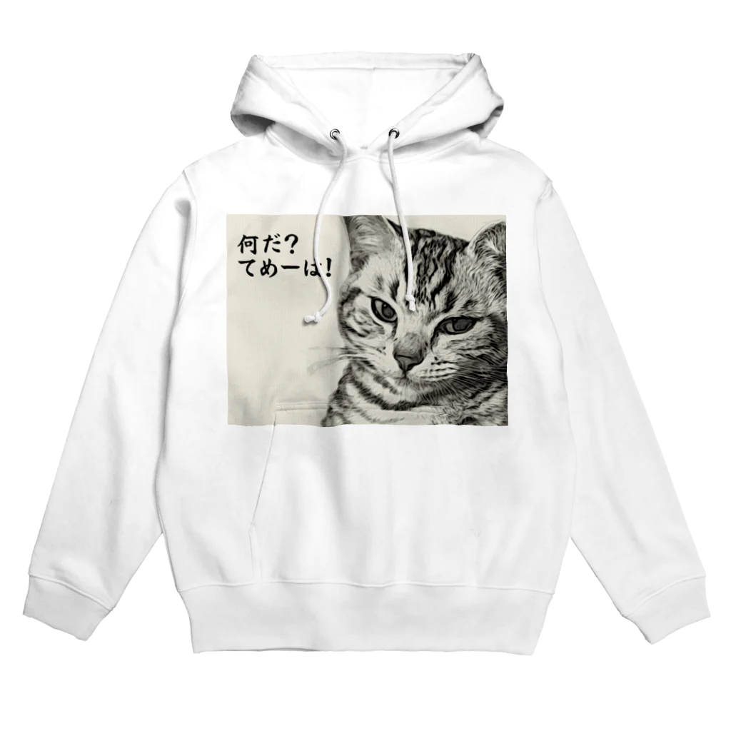 にゃんたみやのなんだてめーは！ Hoodie