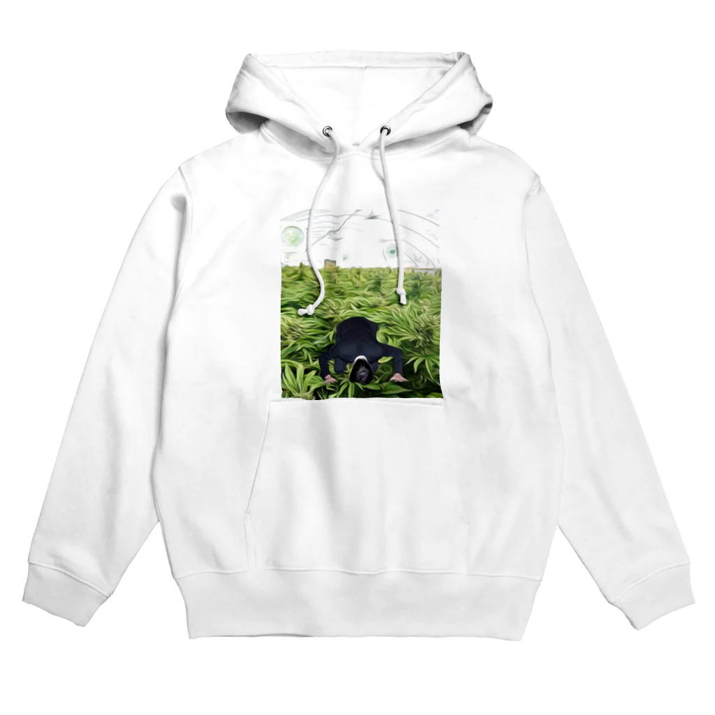 junkieの野菜畑で土下座 Hoodie