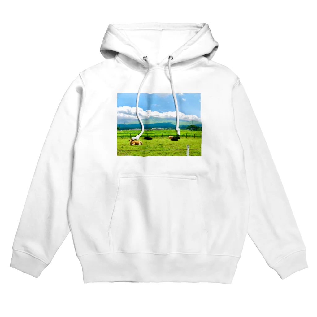 buttershopの実写版まきばの空！ Hoodie