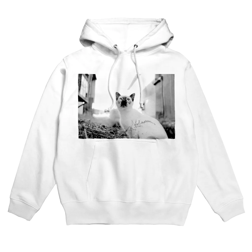 タロやんの猫ちゃん Hoodie