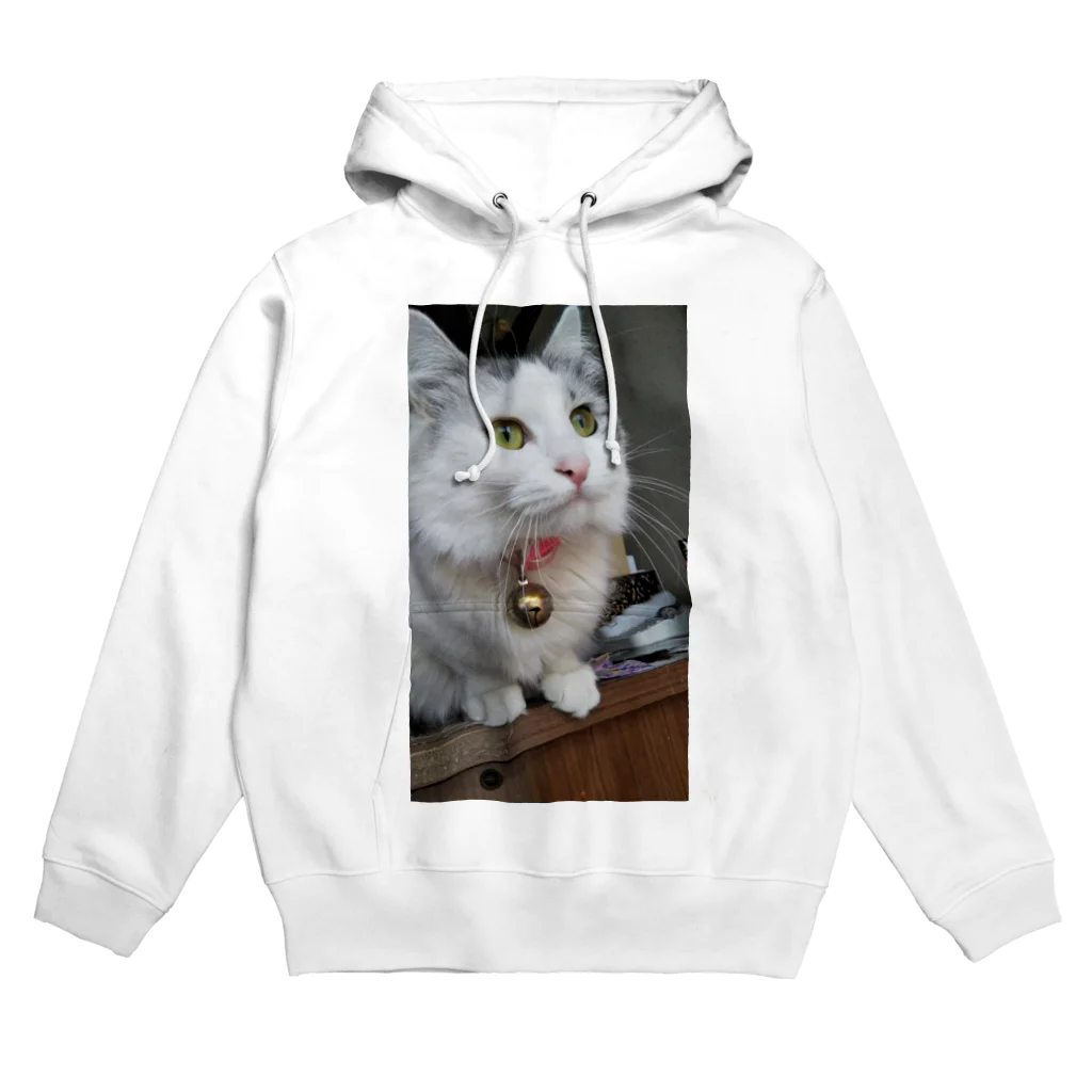 いしのにゃんこ Hoodie