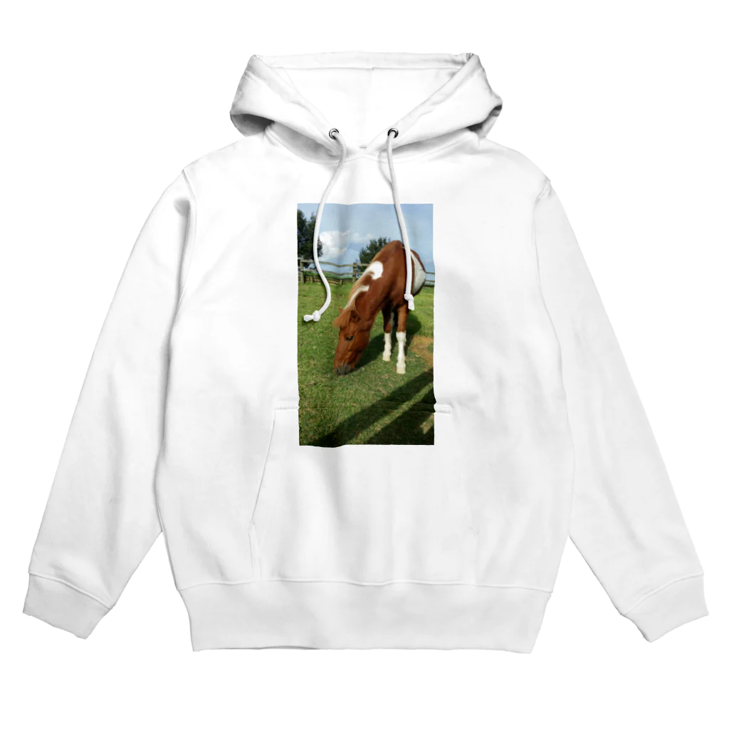 kuri7のポニーポニー Hoodie