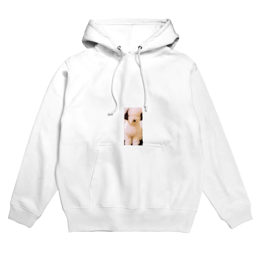 kohakuwainuのもさもさくん Hoodie