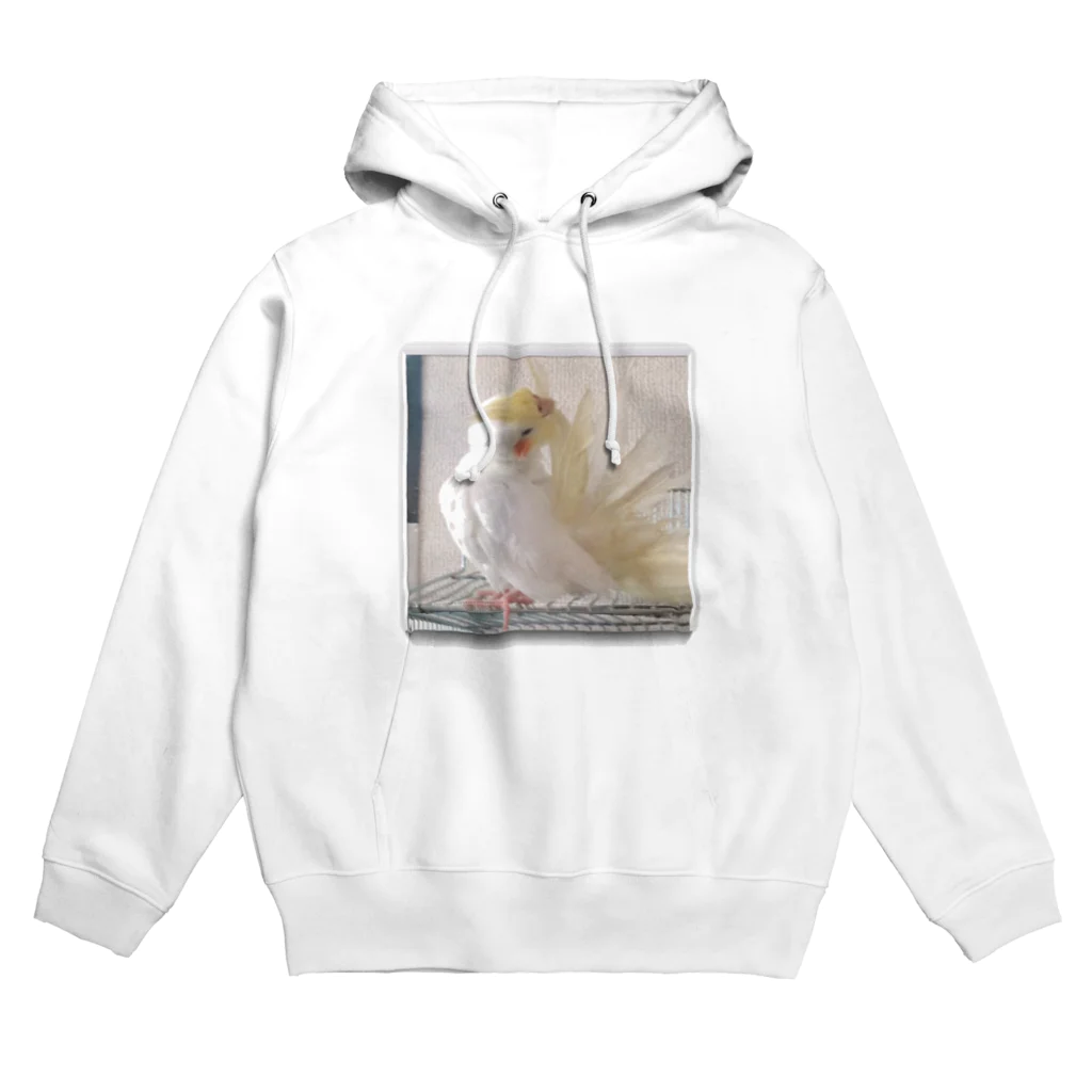 usa3104のオカメインコのムーン羽繕い中 Hoodie