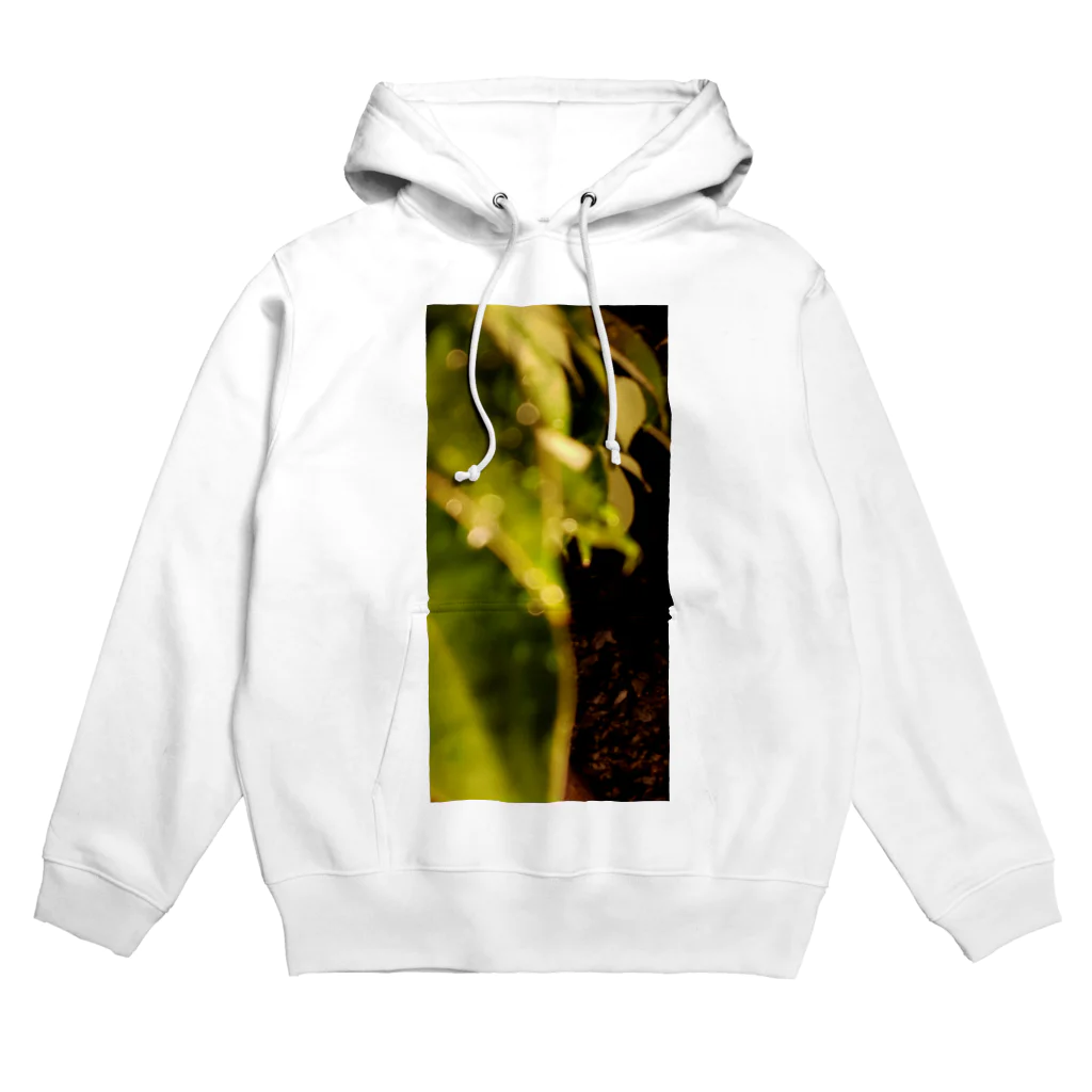 YU no Omiseの夜の葉 Hoodie