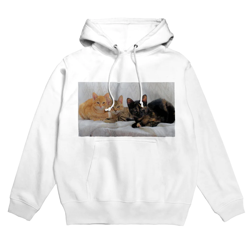 にゃんshopのちびニャンズ Hoodie