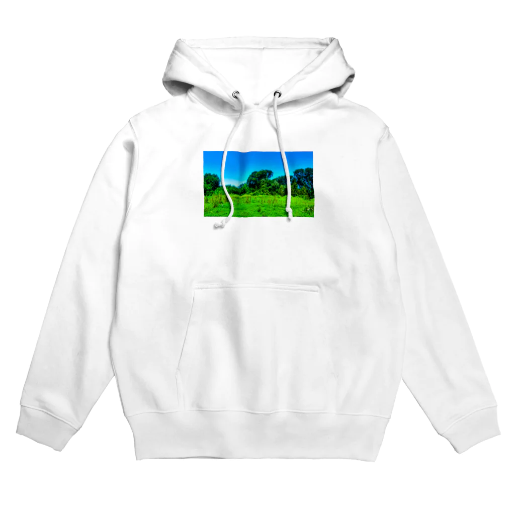 SPARK STUDIO公式ショップの自然に優しいシリーズ Hoodie