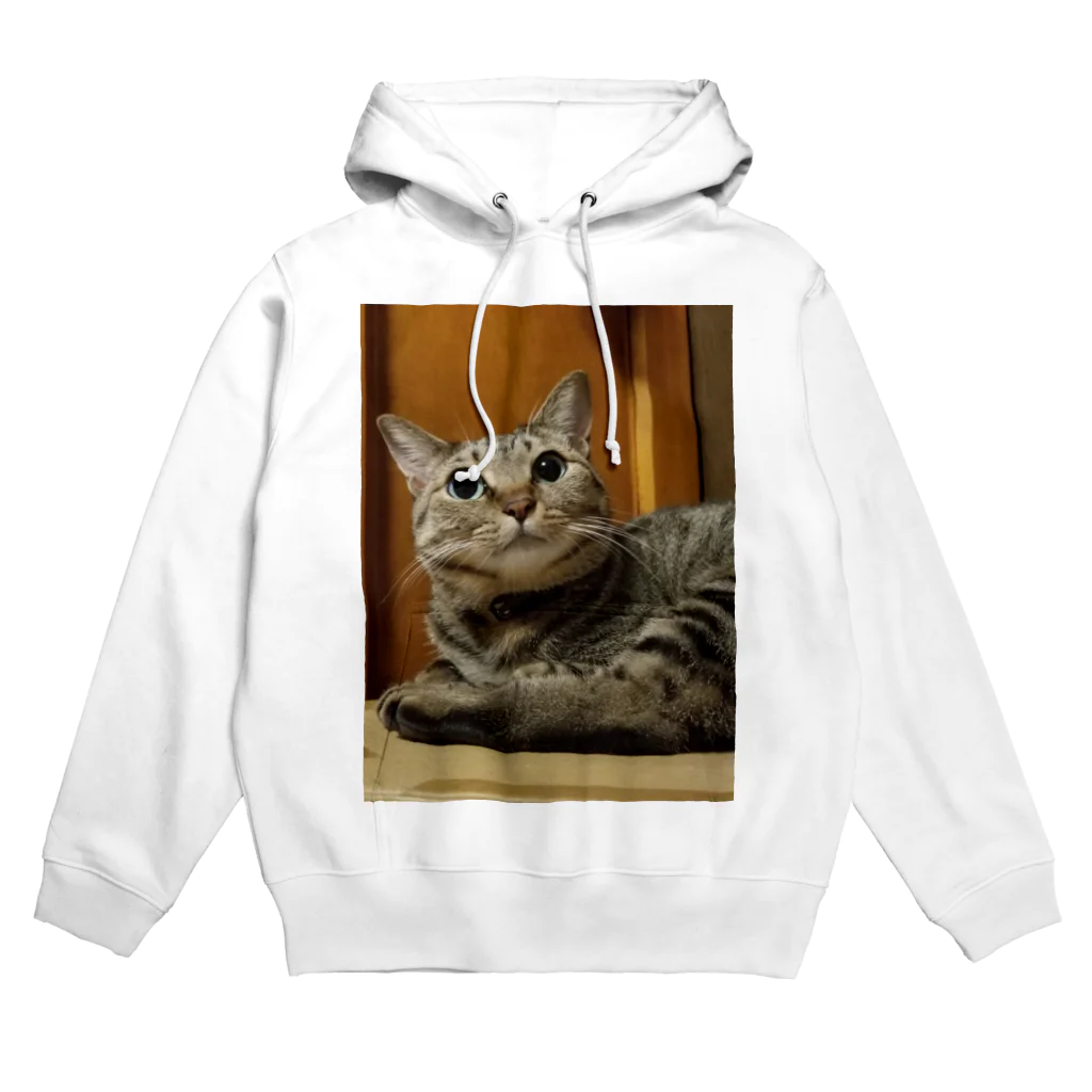 猫又雑貨店のあざ猫さん Hoodie