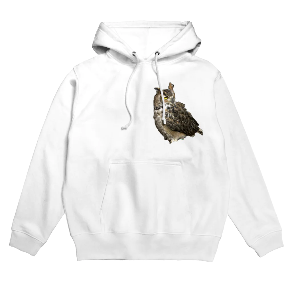 yuki_moco_mocoのうちのもこ　斜め45度 Hoodie