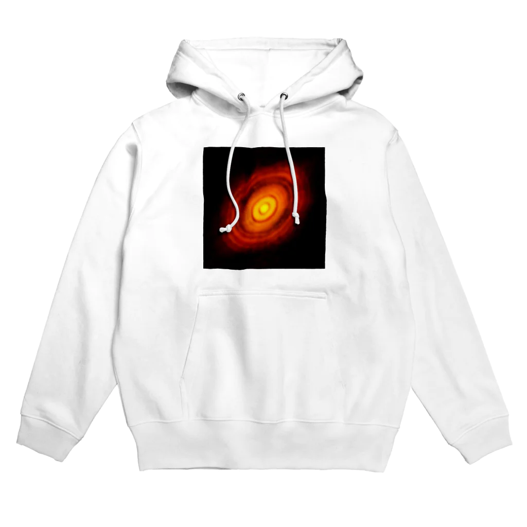 paranoia250lyのPlanetary disk Hoodie