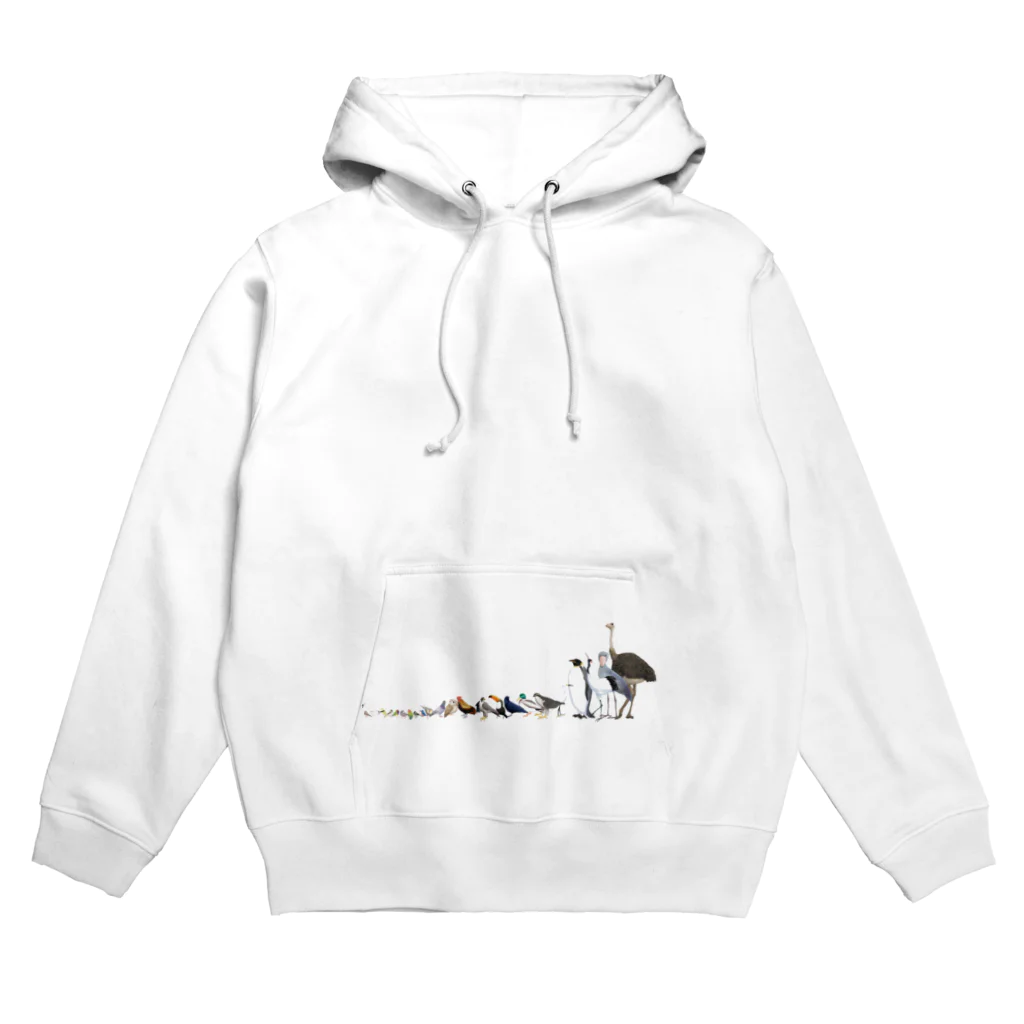 楓工房 ＊suzuri店＊の翼の系譜 Hoodie