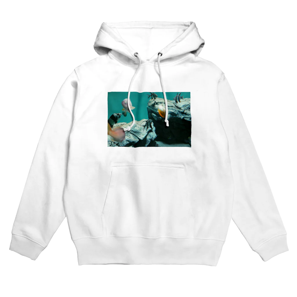 【 らむちずしょっぷ 】のすいぞくかん photo Hoodie