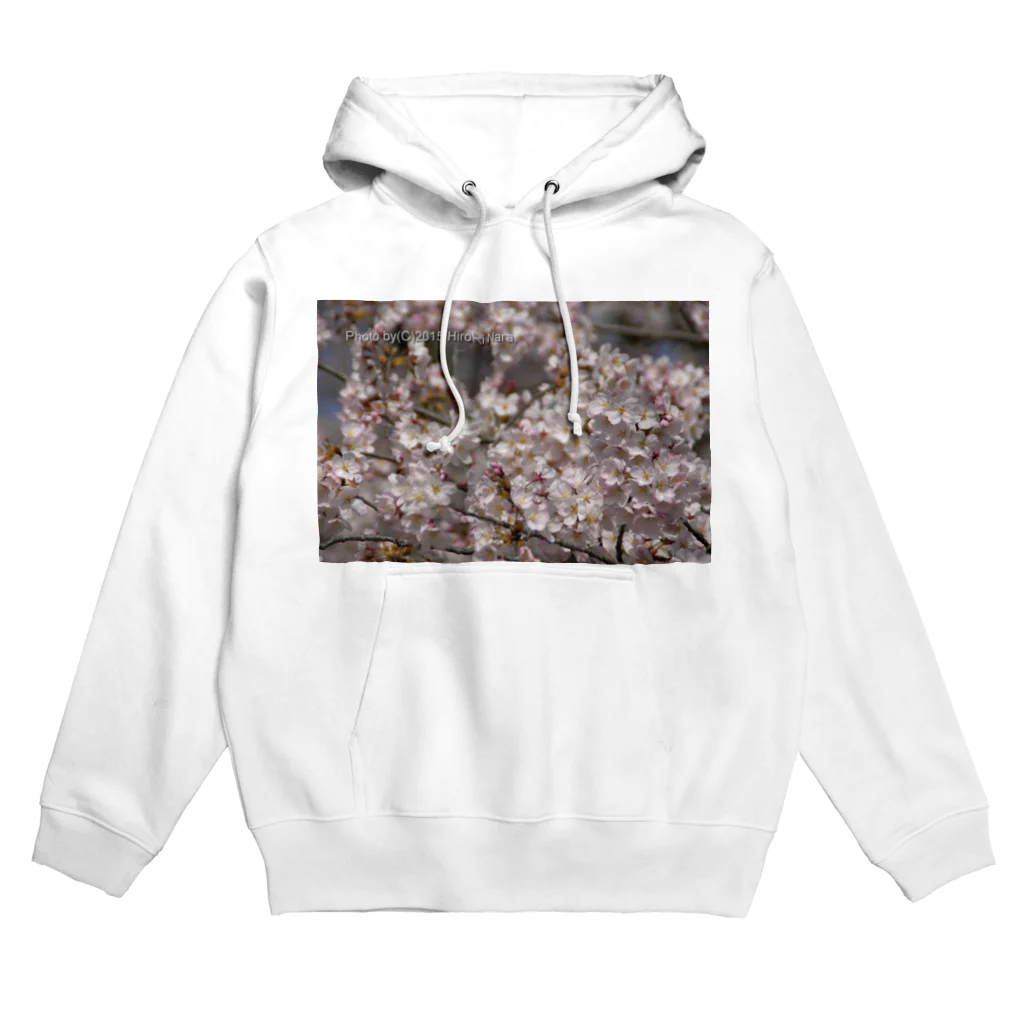 hiroki-naraの光景　sight0053　桜　2015_009　サクラ Hoodie