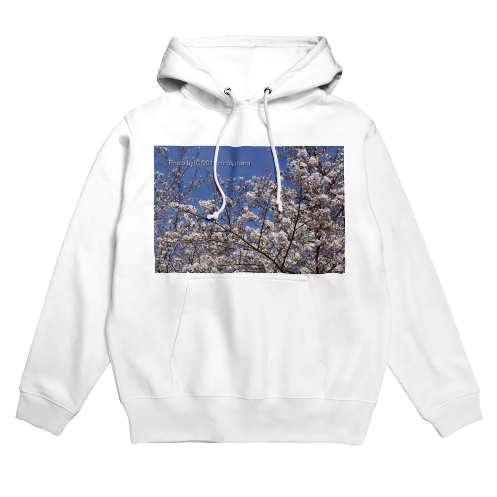 hiroki-naraの光景　sight0069　桜　2015_014　サクラ  Hoodie