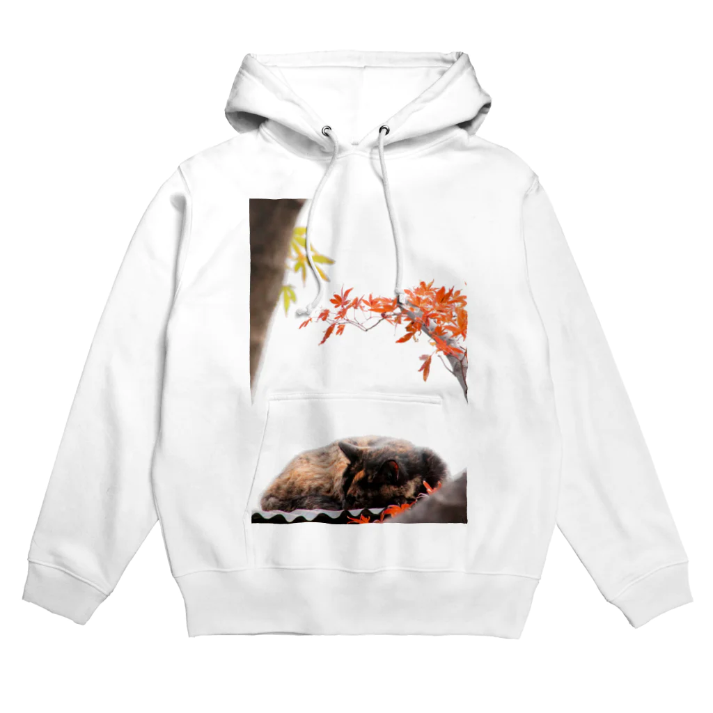 シッポ追いの猫写真店のサビ猫と紅葉 Hoodie