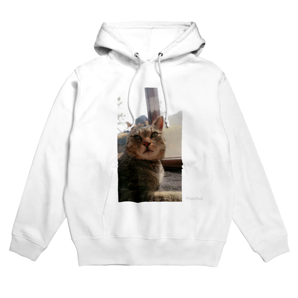 キジトラ猫ミミの愛猫ミミさん Hoodie