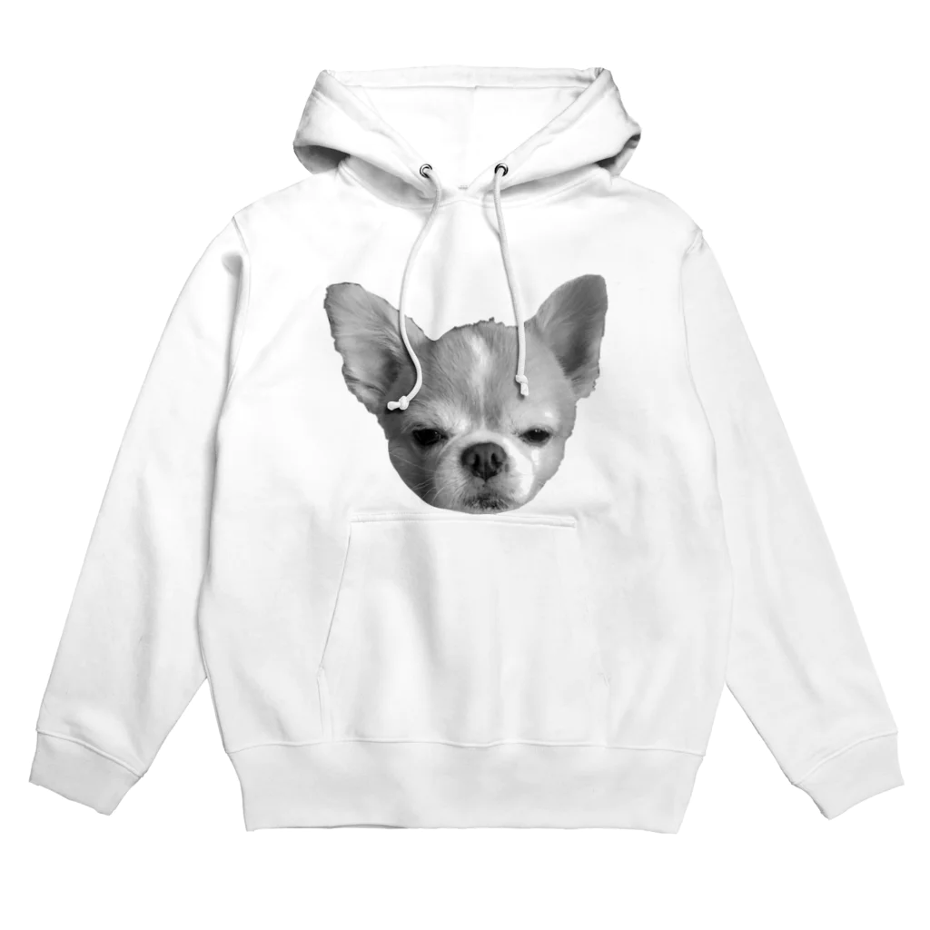 プリンセスモルモットのチワワ少しショック受けてる系 Hoodie