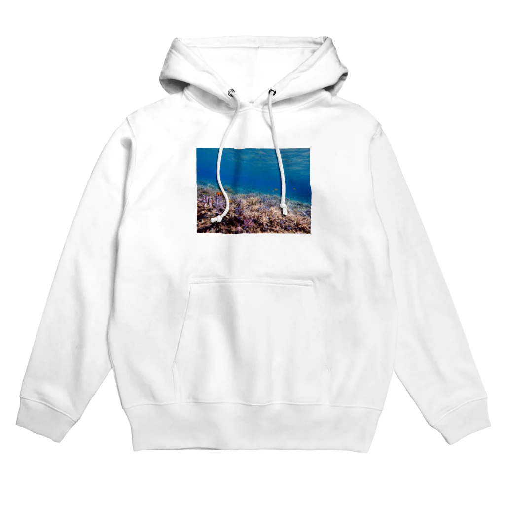 riririncatの海の中の世界 Hoodie