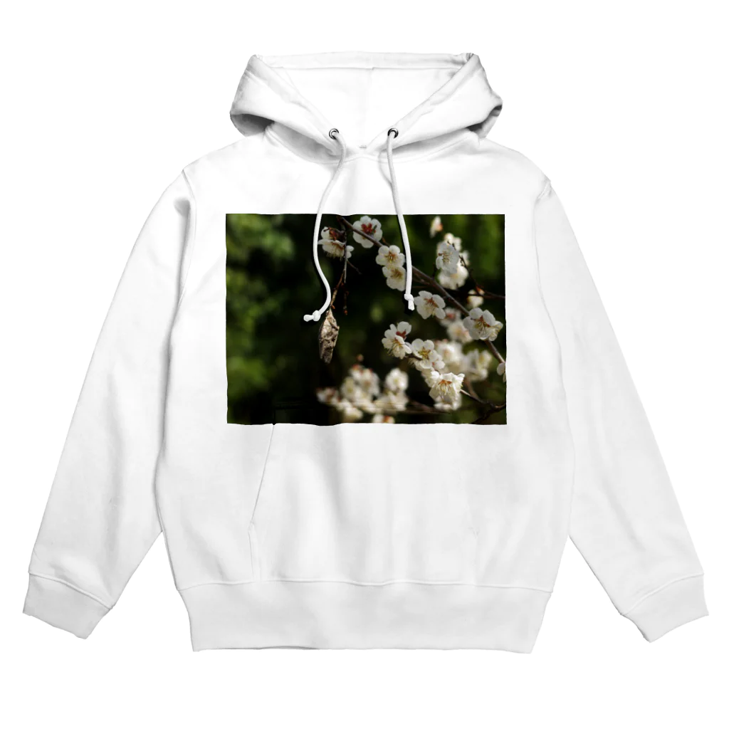 hiroki-naraの梅　ウメ　Japanese　apricot DATA_P_096 Hoodie