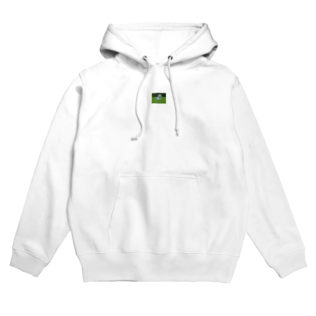 BOBLE FODBOLD UDSTYRのBubble fodbold Hoodie