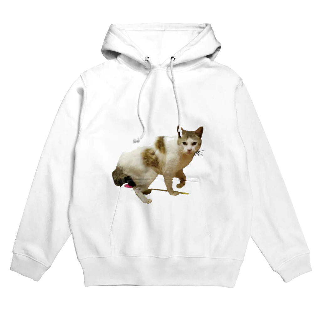 濱田のねこ　シュール　ちゃん Hoodie