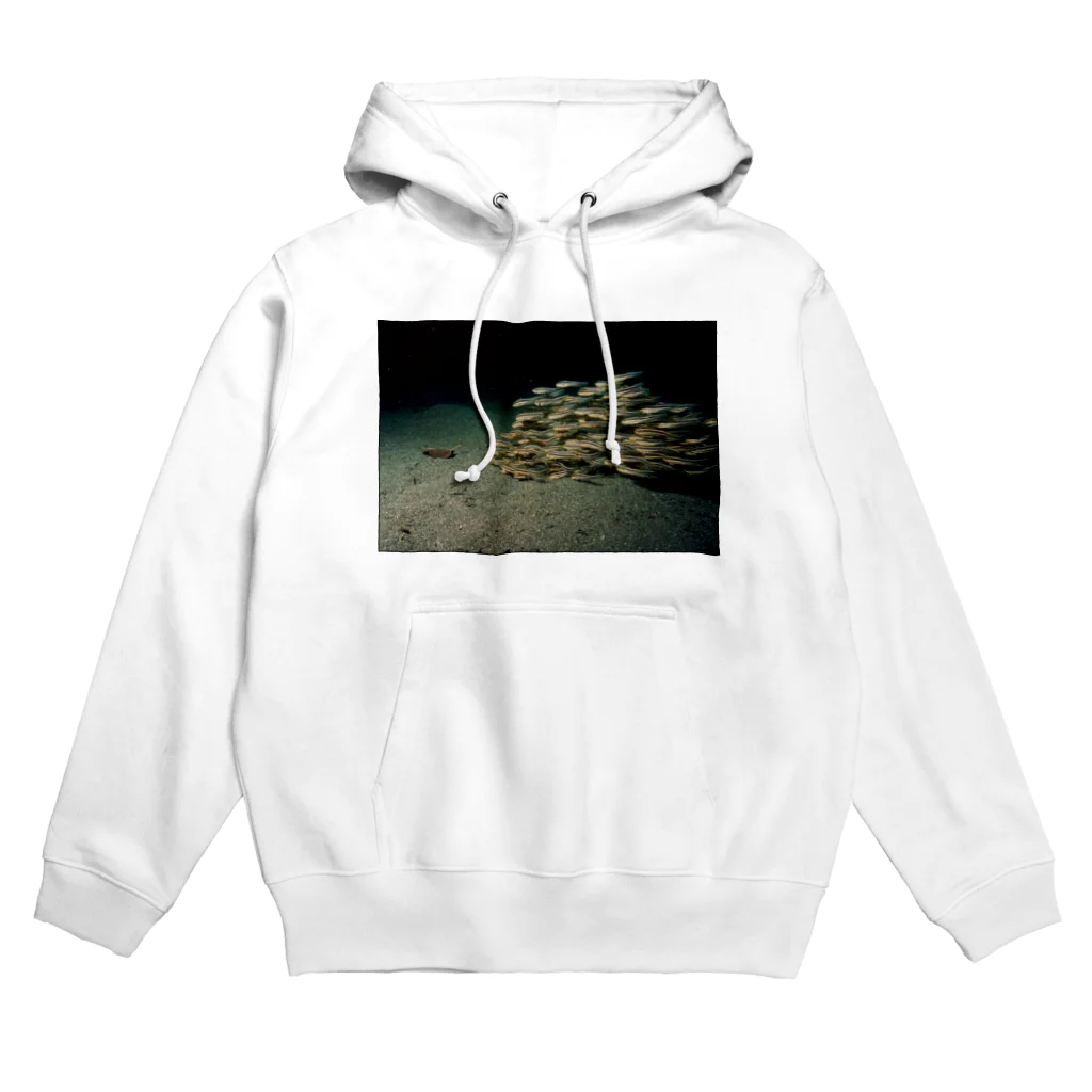 龍舞堂のゴンズイ Hoodie