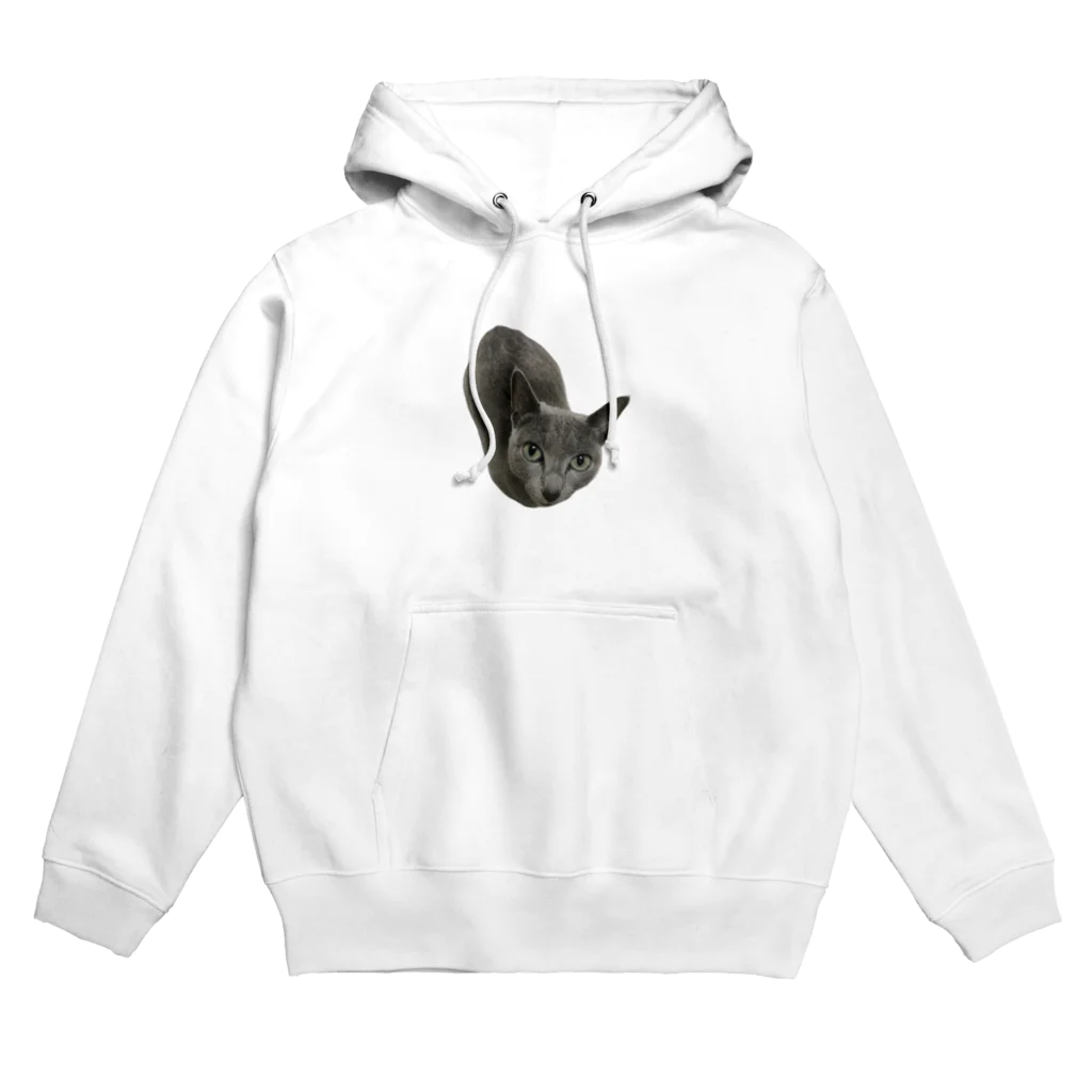 あとみーのくるみグッズ2 Hoodie